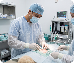 Surgery